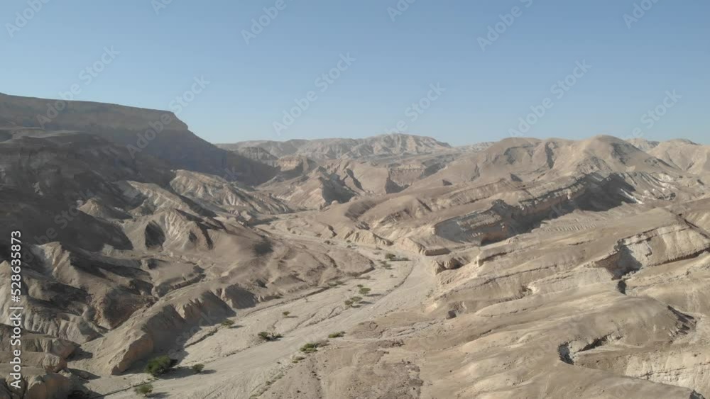Desert wadi with acacia trees, Aerial 2022
Drone view from Negev desert, israel, 2022
Desert wadi with acacia trees, Aerial 2022
Drone view from Negev desert, israel, 2022