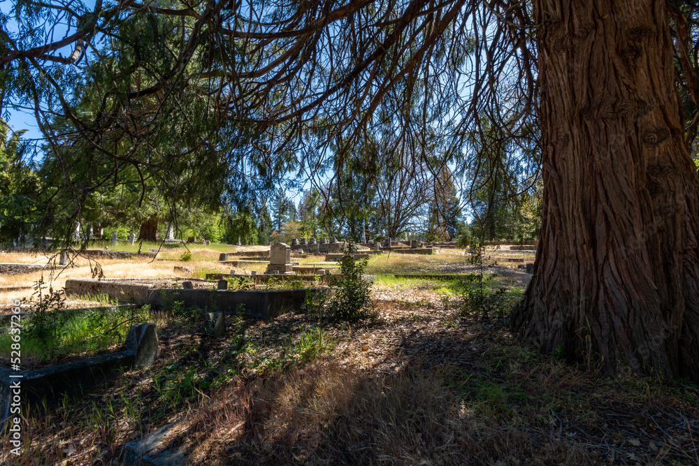 Fototapeta premium Old California Cemetery, United States.