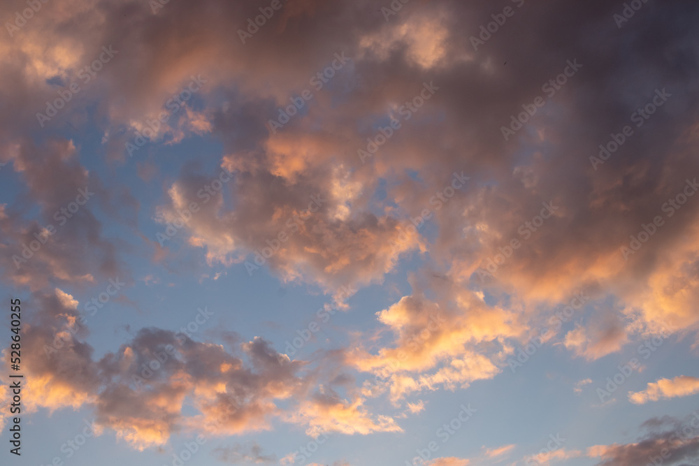 Fototapeta premium Blue sky with fluffy pink clouds in sunset. Beautiful sky in autumn, fall season. Copy space