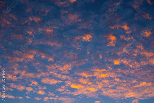 Stunning orange altocumulus clouds at sunset / sunrise. Amazing colorful sky.  Orange clouds on blue sky background photo