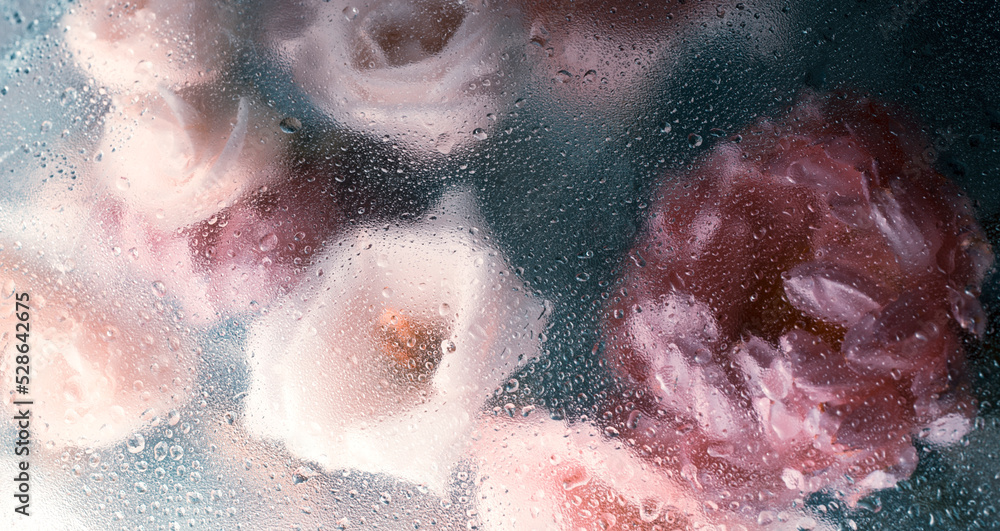 Fototapeta premium Beautiful autumn flowers bouquet in raindrops with chrysanthemum. Abstract floral background in muted colors, selective focus