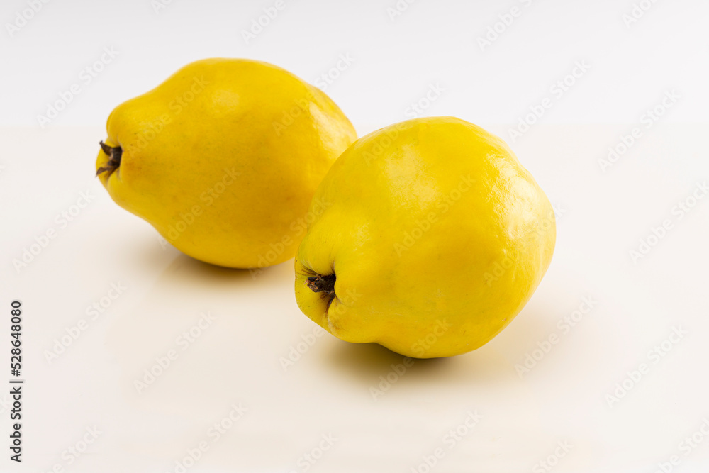two yellow quinces on white background two yellow quinces on white background