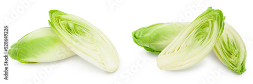 Chicory salad isolated on white background with full depth of field. photo