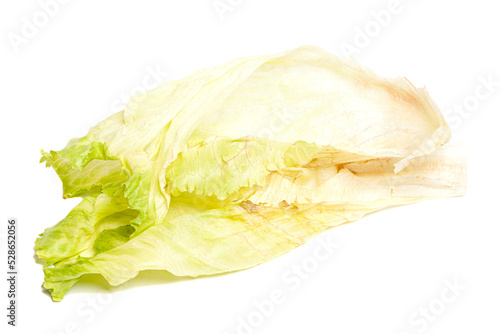 iceberg lettuce isolated on white background
