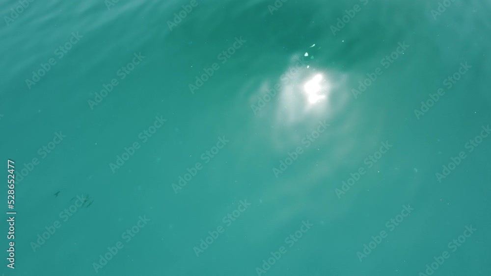 Abstract aerial sea summer ocean sunset nature background. Small waves on water surface in motion blur with golden bokeh lights from sun. Holiday, vacation and recreational concept. Slow motion Abstract aerial sea summer ocean sunset nature background. Small waves on water surface in motion blur with golden bokeh lights from sun. Holiday, vacation and recreational concept. Slow motion