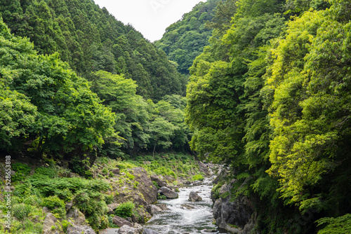 多摩川の「鳩ノ巣渓谷」／日本東京都奥多摩町 © yumiko