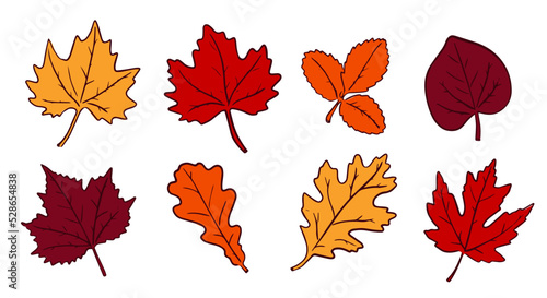 Set of red, yellow and orange autumn leaves isolated on white background.