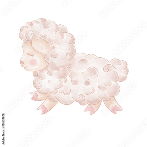 Simple children's watercolor illustrations of an animal lamb on a white background