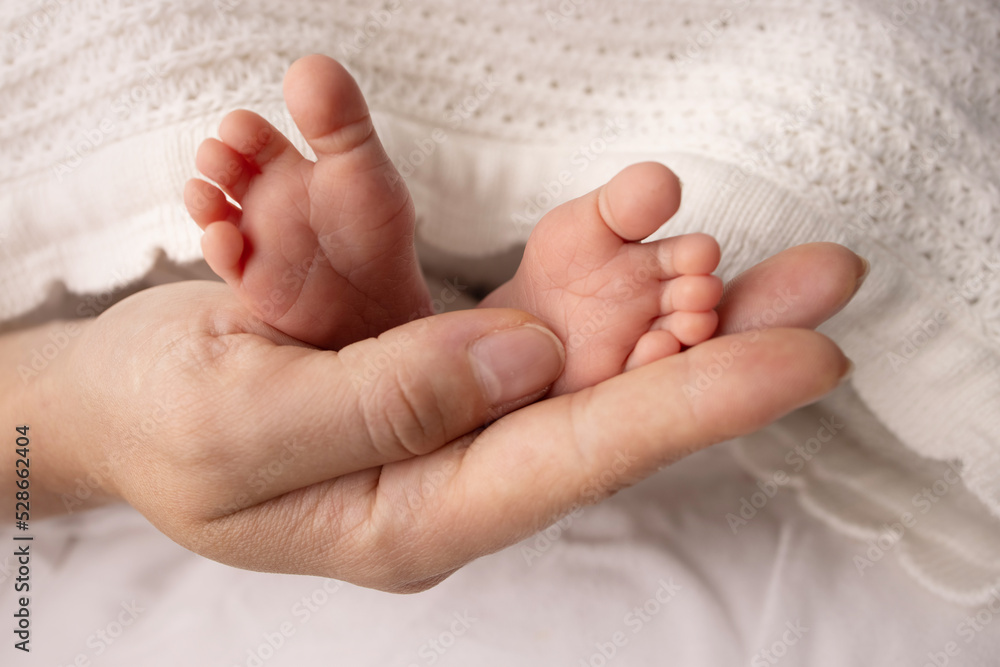 The palms of the parents. A mother hold the feet of a newborn child in a white blanket on a white background. The feet of a newborn in the hands of parents. Photo of foot, heels and toes. The palms of the parents. A mother hold the feet of a newborn child in a white blanket on a white background. The feet of a newborn in the hands of parents. Photo of foot, heels and toes.