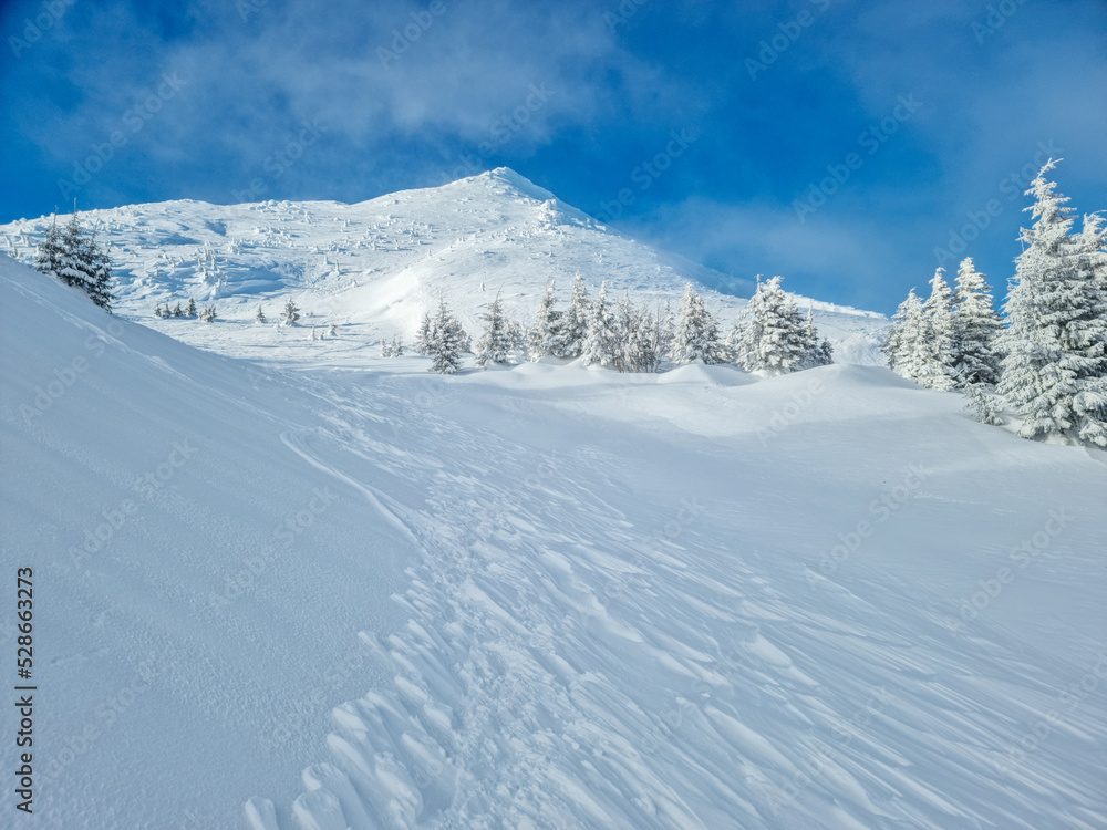 Obraz premium Beautiful sunny winter landscape in the mountains. Mountain and fir trees covered with snow.