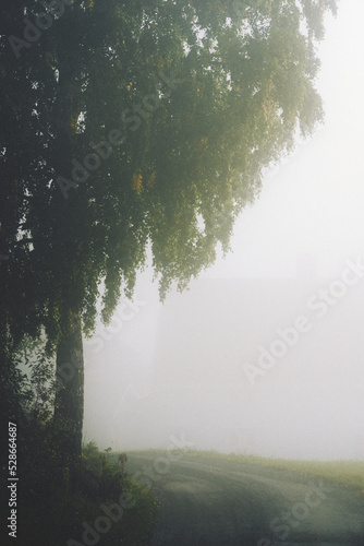 Ovrenvegen Road towards Byvegen, Toten, Norway, a foggy morning in early autumn. photo