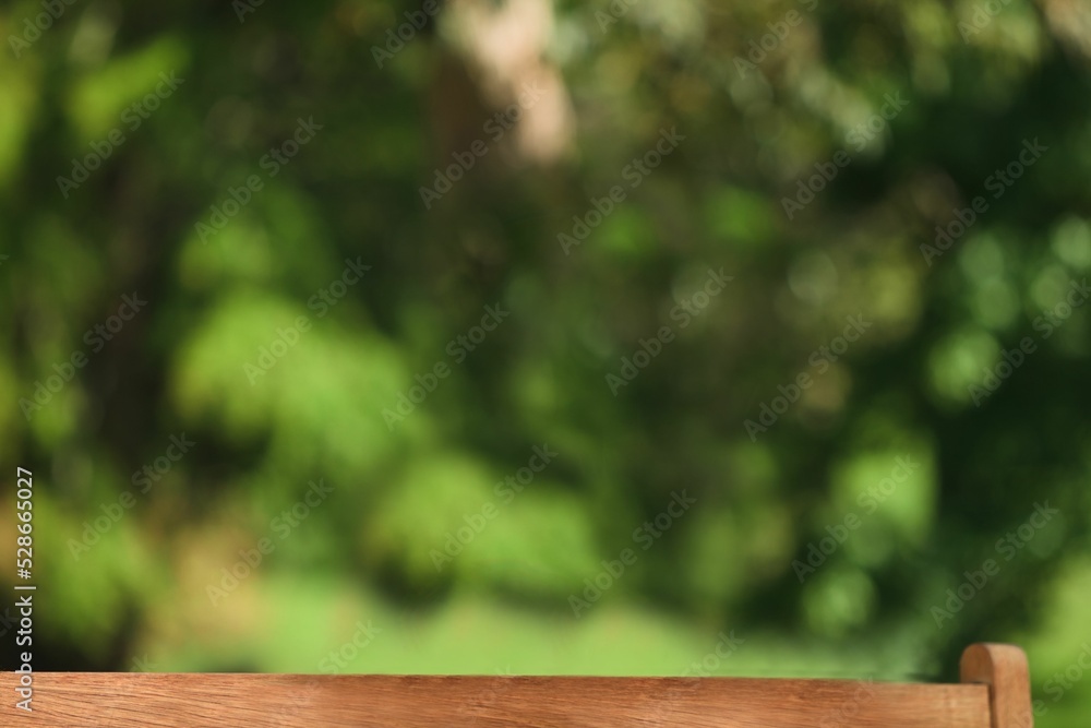 Bench by trees at park Bench by trees at park