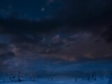 Night sky over forest