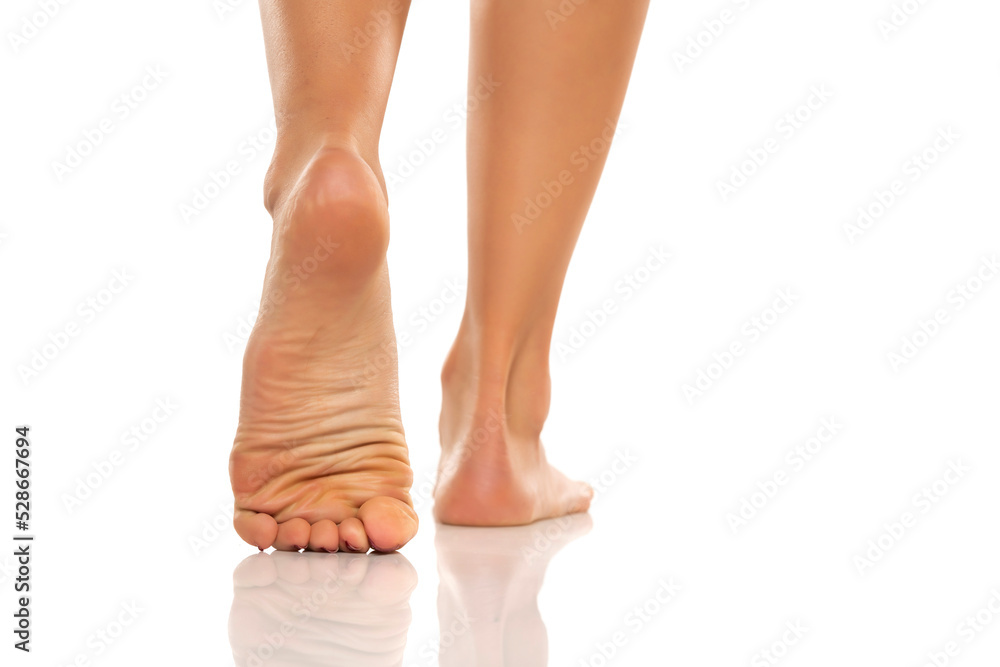 Back view of a beautifully cared female bare feet on a white background. Back view of a beautifully cared female bare feet on a white background.