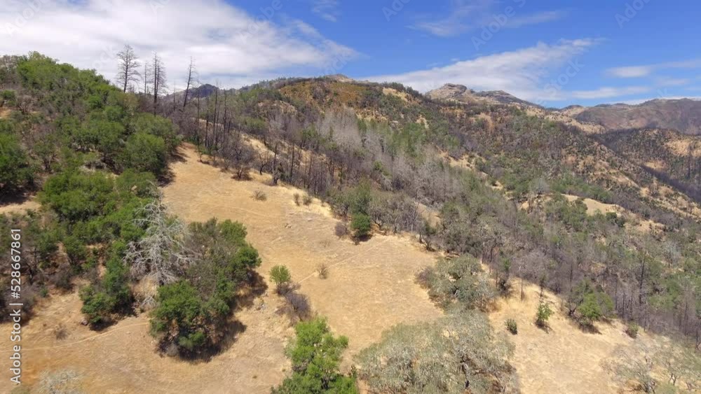 Aerial view passing burned forest trees on rugged Oat hill mine hiking trail during California fire season Aerial view passing burned forest trees on rugged Oat hill mine hiking trail during California fire season