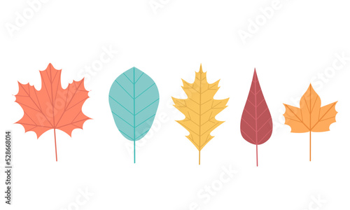 Cute fall season set. Colorful autunm leaves vector illustration. photo