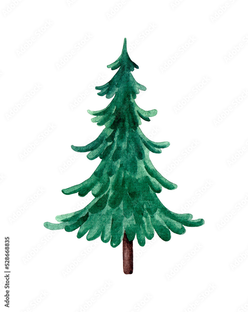 Obraz premium Watercolor green Christmas tree on white background. Winter design elements.