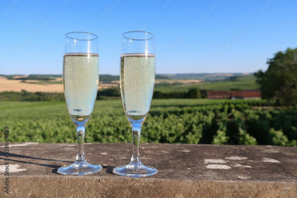 Deux verres à vin (flûtes / coupes) remplis de champagne, devant un paysage de vigne sous un ciel bleu dans la Marne, en Champagne Ardenne, région Grand-Est (France) Deux verres à vin (flûtes / coupes) remplis de champagne, devant un paysage de vigne sous un ciel bleu dans la Marne, en Champagne Ardenne, région Grand-Est (France)