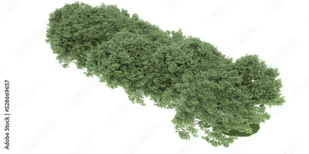 Forest on transparent background. 3d rendering - illustration Forest on transparent background. 3d rendering - illustration