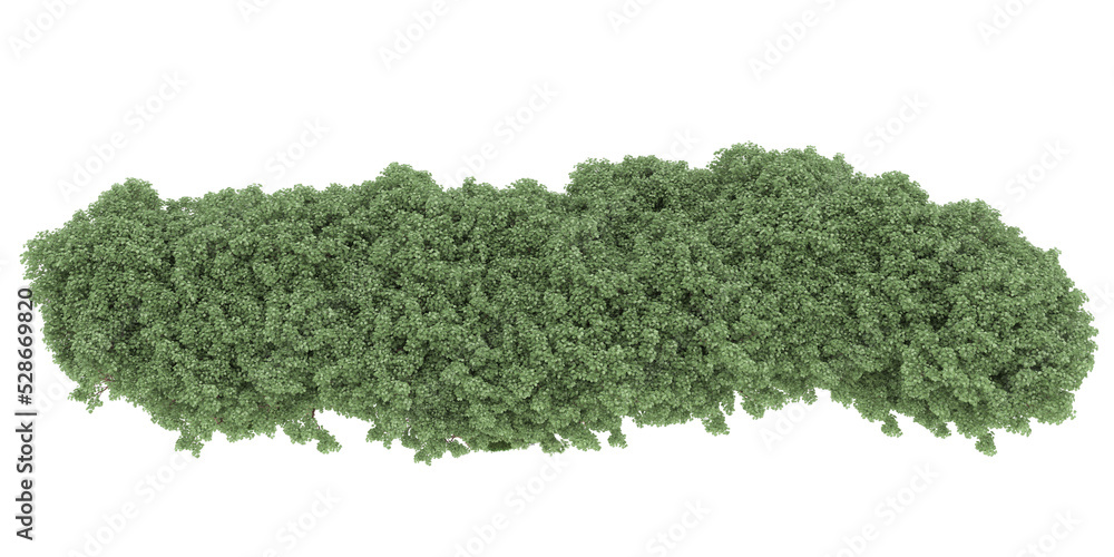 Obraz premium Forest on transparent background. 3d rendering - illustration