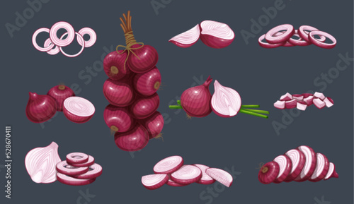 Red onion set vector illustration. Hanging bunch of purple raw shallot heads in peel. Cartoon isolated whole onion with leaf, cut in half, circle slices, sections and chopped pieces for cooking