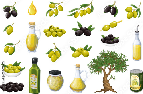 Olive set vector illustration. Cartoon tree branch with leaves and fruit, bottle with label and extra virgin Greek oil for cooking, organic food product in jar, isolated green and black olives