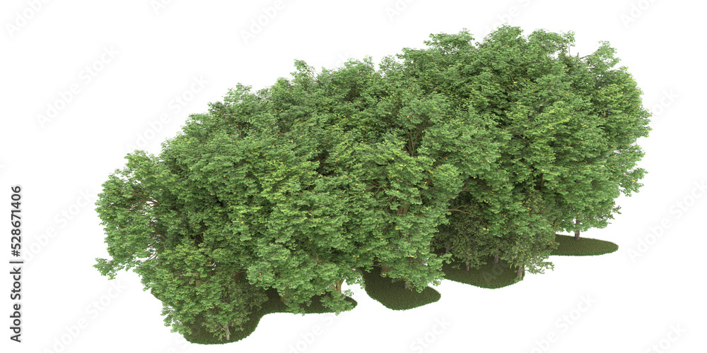 Forest on transparent background. 3d rendering - illustration Forest on transparent background. 3d rendering - illustration