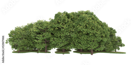 Forest on transparent background. 3d rendering - illustration