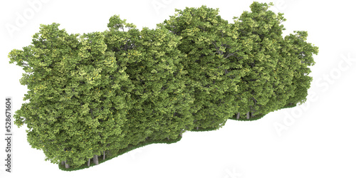 Forest on transparent background. 3d rendering - illustration