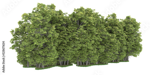 Forest on transparent background. 3d rendering - illustration