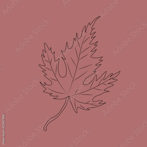 Set of hand drawn leaf outlines. Vector illustration. on the autumn background