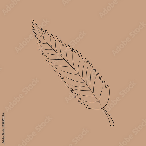Set of hand drawn leaf outlines. Vector illustration. on the autumn background