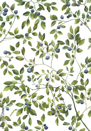 Blueberry leaves branches with berries. Watercolor pattern isolated on transparent background. Great for wedding invitation, greeting cards, decoration, stationery
