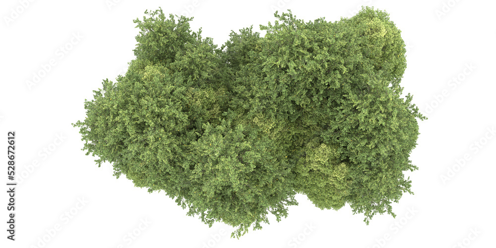 Fototapeta premium Forest on transparent background. 3d rendering - illustration
