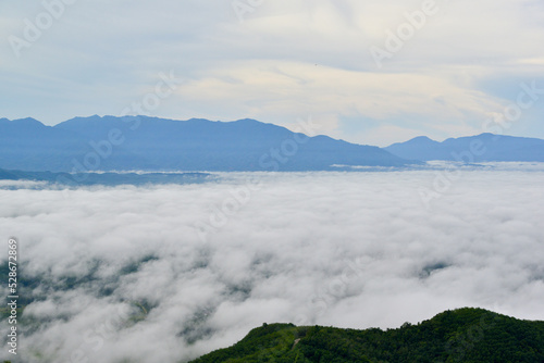 Forest covered with low clouds, autumn rain and mist on the mountains, mountains, forests, misty fall.