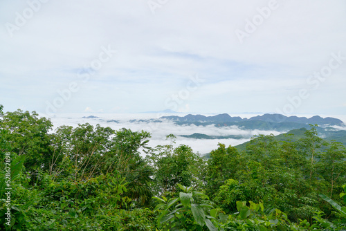 Forest covered with low clouds, autumn rain and mist on the mountains, mountains, forests, misty fall.