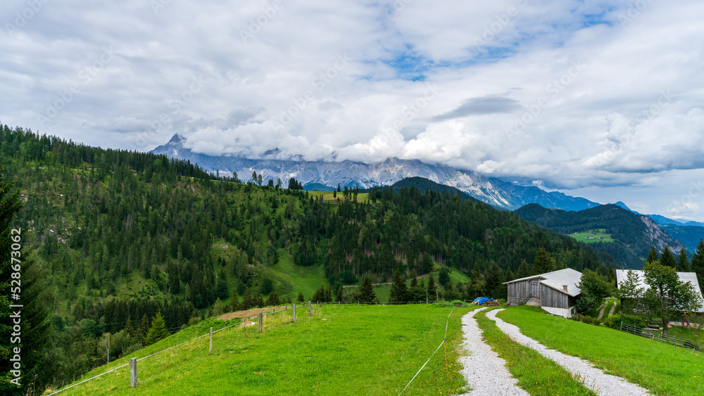 A field path in the Austrian mountains 
