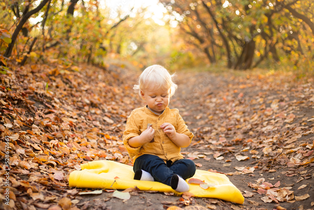 Little boy in autumn background with golden and red trees. Thanksgiving holiday season. Little boy in autumn background with golden and red trees. Thanksgiving holiday season.