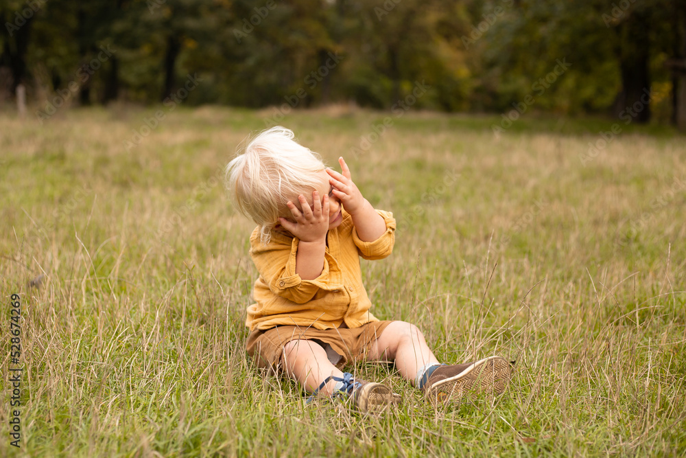 Fototapeta premium boy sitting in meadow and smiling in warm autumn park with golden trees