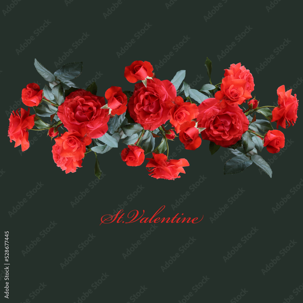 Red roses composition template design. Saint Valentine card.