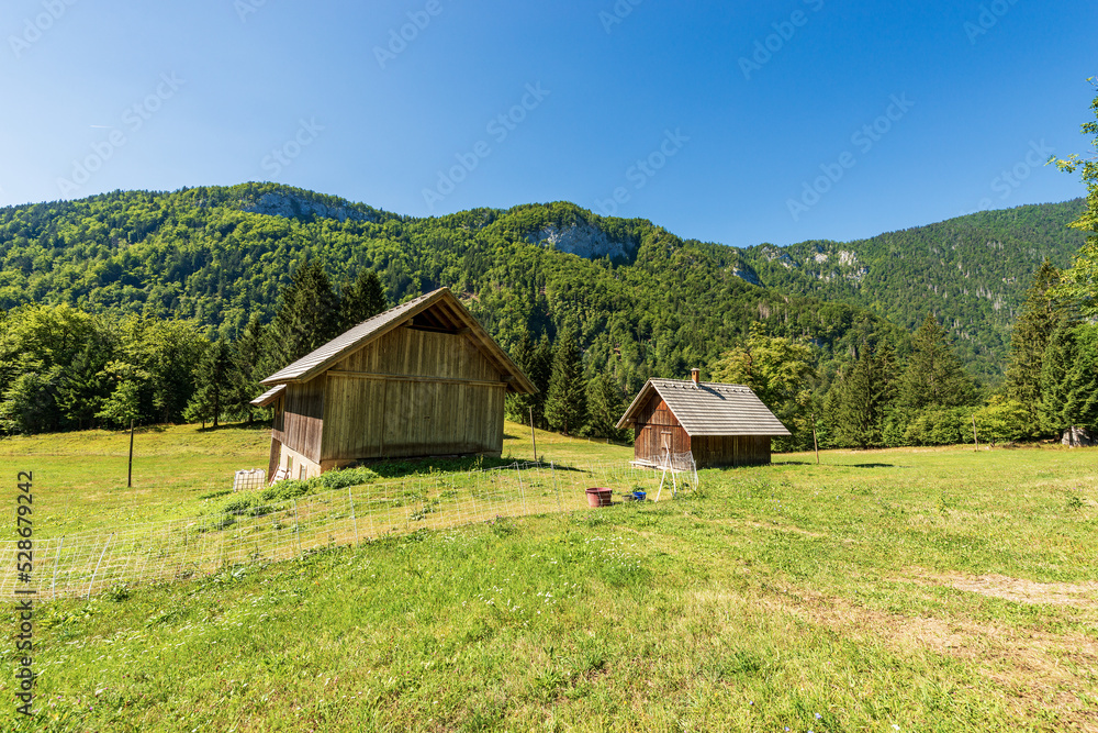 Old traditional wooden barn and farmhouse on a green meadow with pine forest on background, Julian Alps, Triglav National Park, Gorenjska (Upper Carniola), Slovenia, central Europe.
