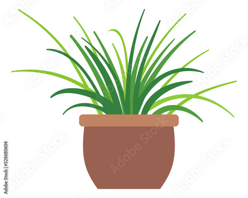 Wallpaper Mural Spider plant icon. Houseplant in pot. Green home decoration Torontodigital.ca