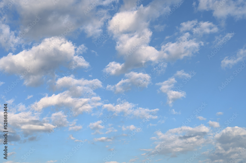 Obraz premium 青空と雲