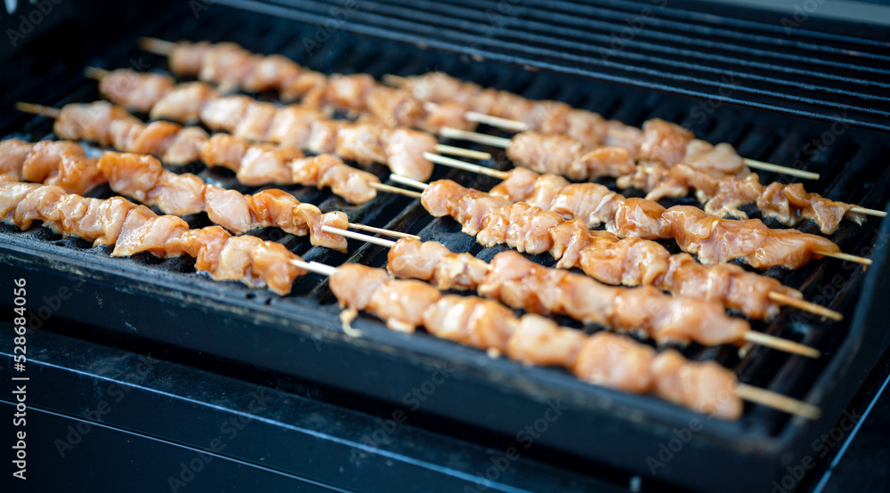 Chicken skewers barbeque. Food and health concept. Chicken skewers barbeque. Food and health concept.