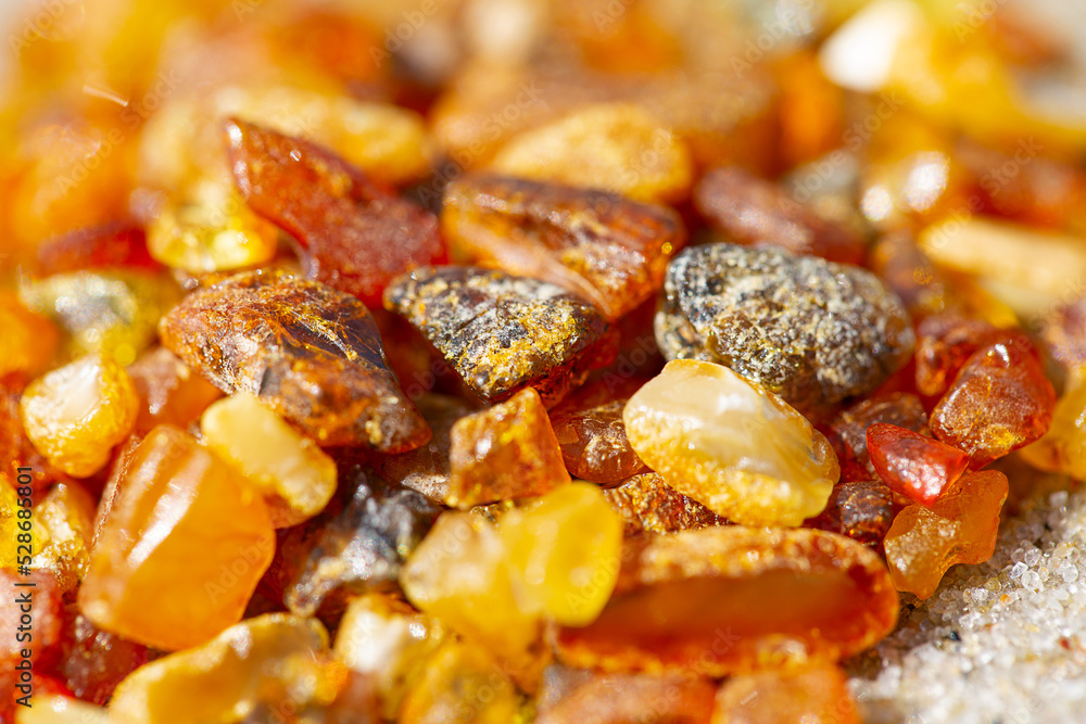 pieces of amber (Lithuanian gold) lying on beach pieces of amber (Lithuanian gold) lying on beach