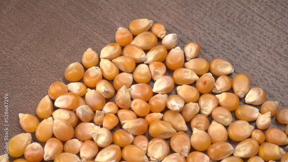 Raw Corn Seeds or Corn kernels are from Maize is a grain, and the kernels are used in cooking as a vegetable or a source of starch. Raw Corn Seeds or Corn kernels are from Maize is a grain, and the kernels are used in cooking as a vegetable or a source of starch.