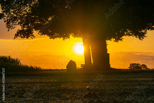 Sonnenuntergang mit Silhouette eines Baumes und einer Bank im Vordergrund
