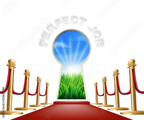 Perfect Job conceptual illu...