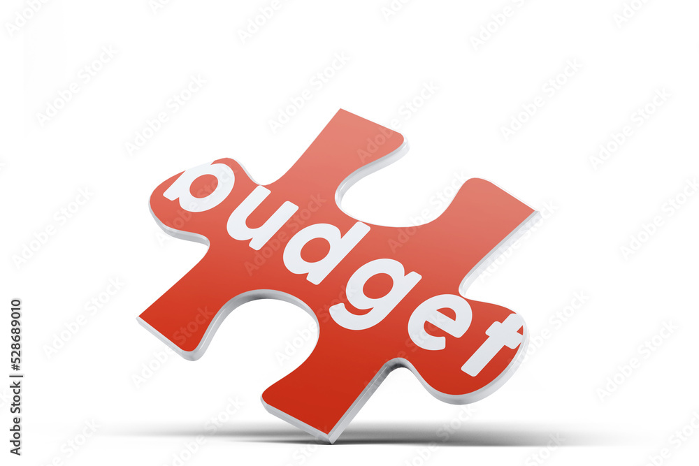 One Piece of Jigsaw Puzzle with Budget Text