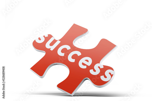 One Piece of Jigsaw Puzzle with Success Text